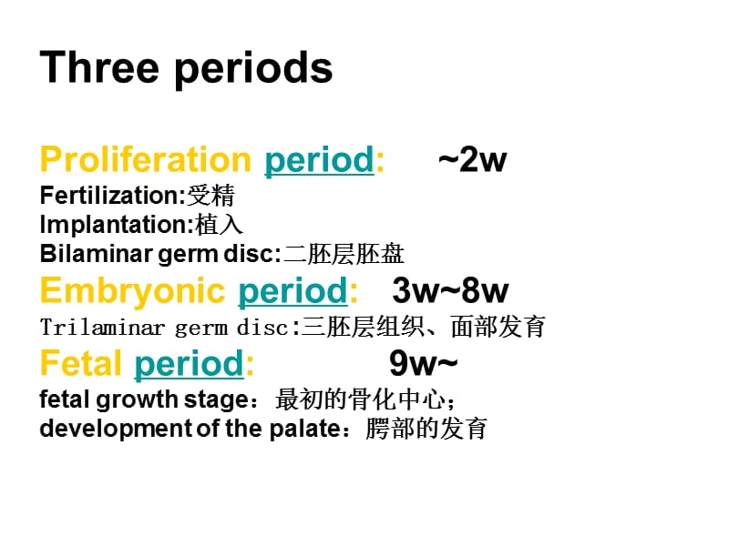 口腔颌面部发育ppt课件.ppt_第3页