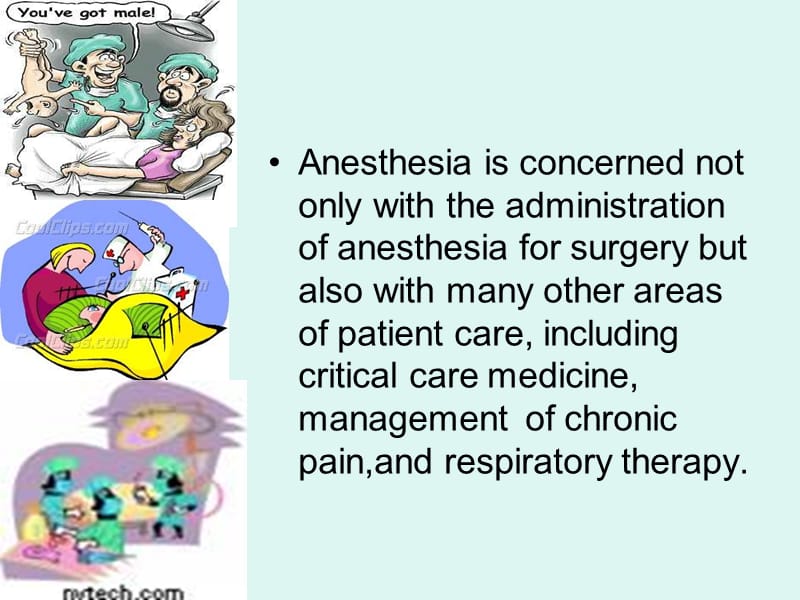 anesthesiaoverviewppt课件.ppt_第3页
