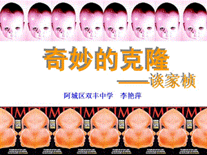 奇妙的克隆课件.ppt