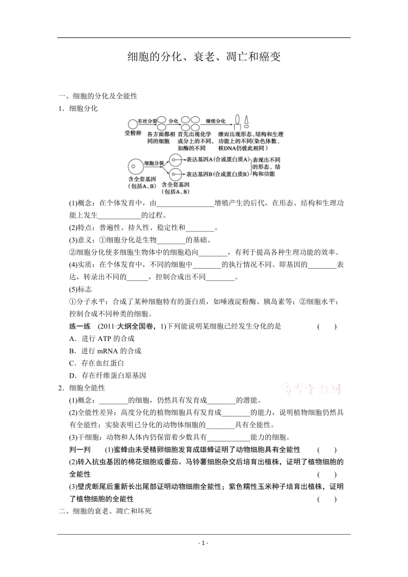 复习教案：细胞的分化、衰老、凋亡和癌变.doc_第1页