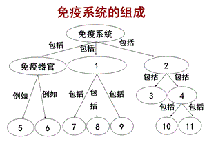 2.4《免疫调节》课件耿培.ppt