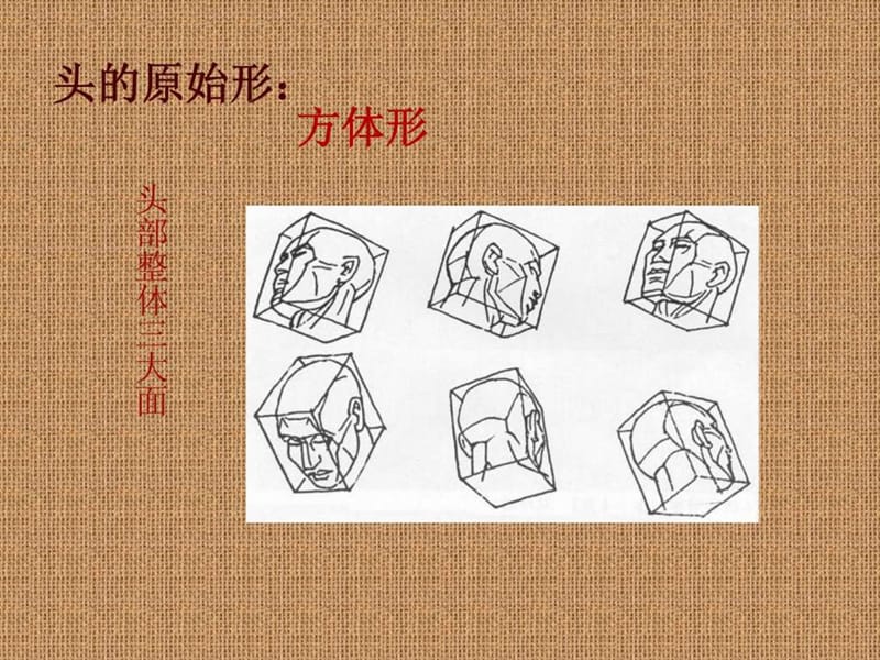 素描头像结构分析_1606880432.ppt.ppt_第2页