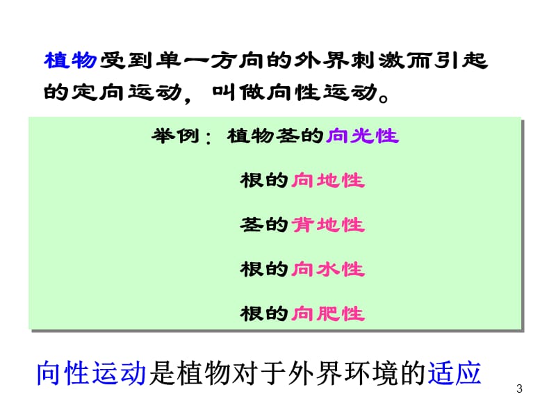 3.1_植物生长素的发现张爱慧.ppt_第3页