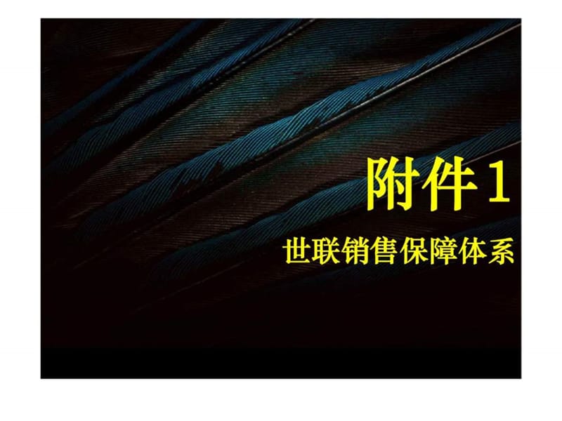 2011年上海长甲淀湖观园营销报告下.ppt_第2页