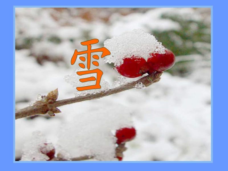 《雪》课件(共60张ppt).ppt_第1页