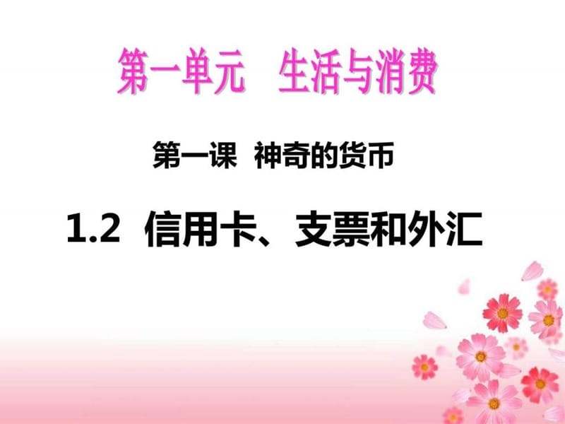 2017-2018信用卡、支票和外汇.ppt_第2页