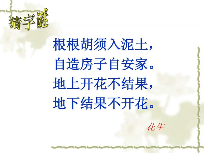 《落花生》教学课件.ppt_第1页