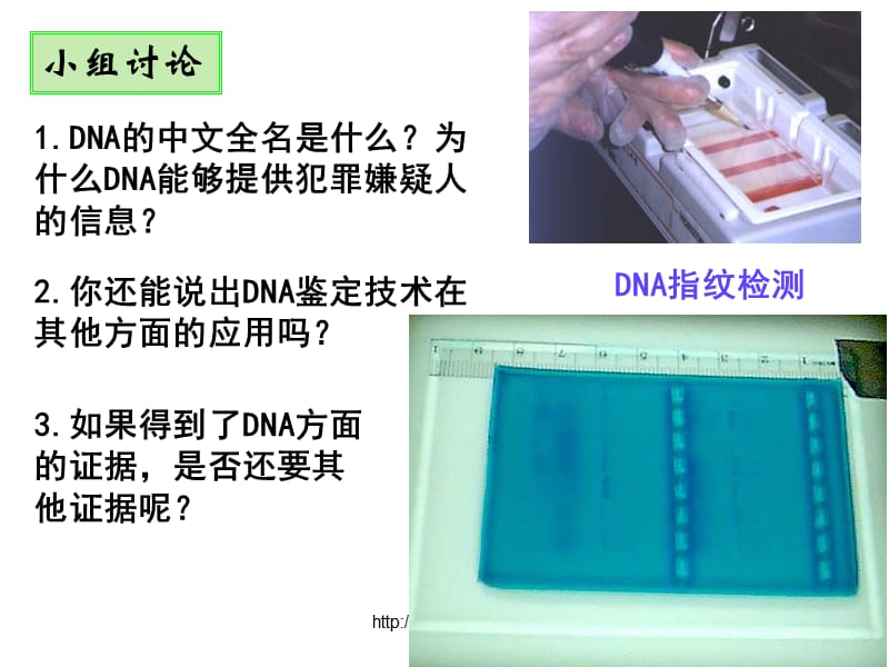 2.3遗传信息的携带者-核酸谭霞.ppt_第2页