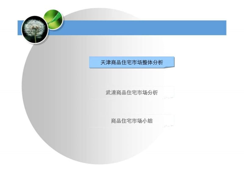 2007年天津武清商品住宅市场研究分析.ppt_第2页