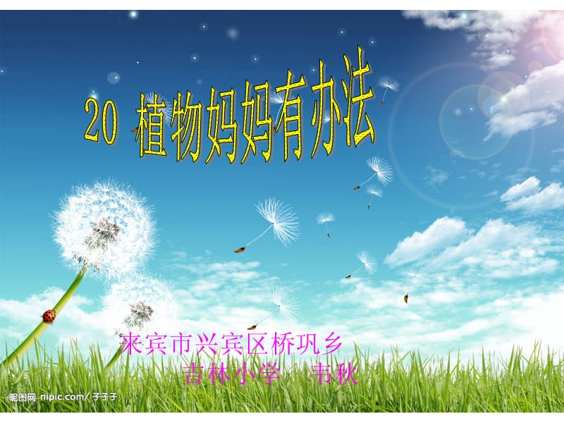 3植物妈妈有办法.ppt.ppt_第1页