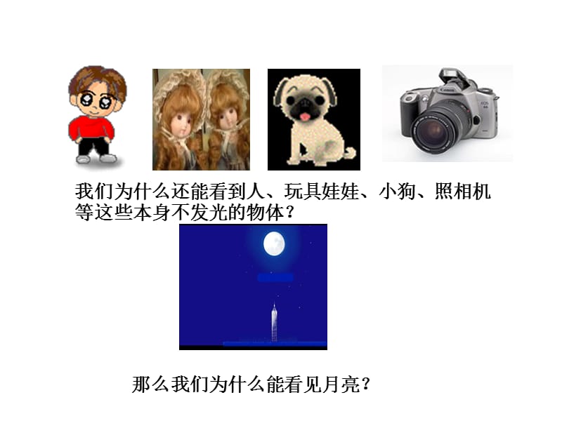 光的反射.ppt_第2页