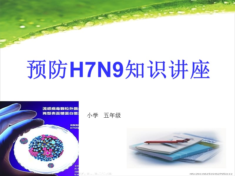 预防H7N9知识讲座.ppt_第1页