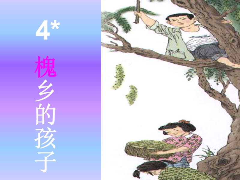 小学三年级上册槐乡的孩子.ppt_第1页