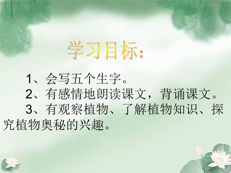 3、植物妈妈有办法第二课时 (2).ppt_第2页