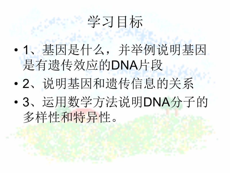 3.4《基因是有遗传效应的DNA片段》课件1.ppt_第2页