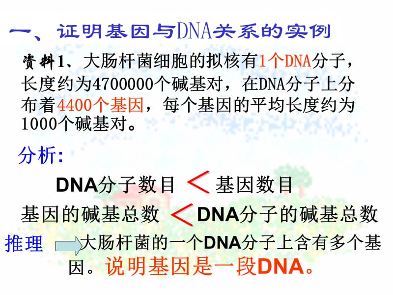 3.4《基因是有遗传效应的DNA片段》课件1.ppt_第3页