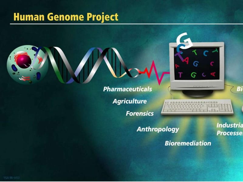 基因芯片的操作流程及步骤.ppt_第1页