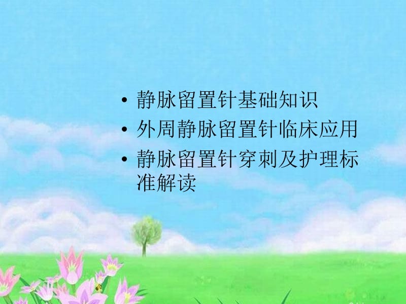 外周静脉留置针的临床应用.ppt_第2页