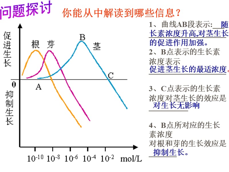 3.2《生长素的生理作用》课件付宇鑫.ppt_第3页