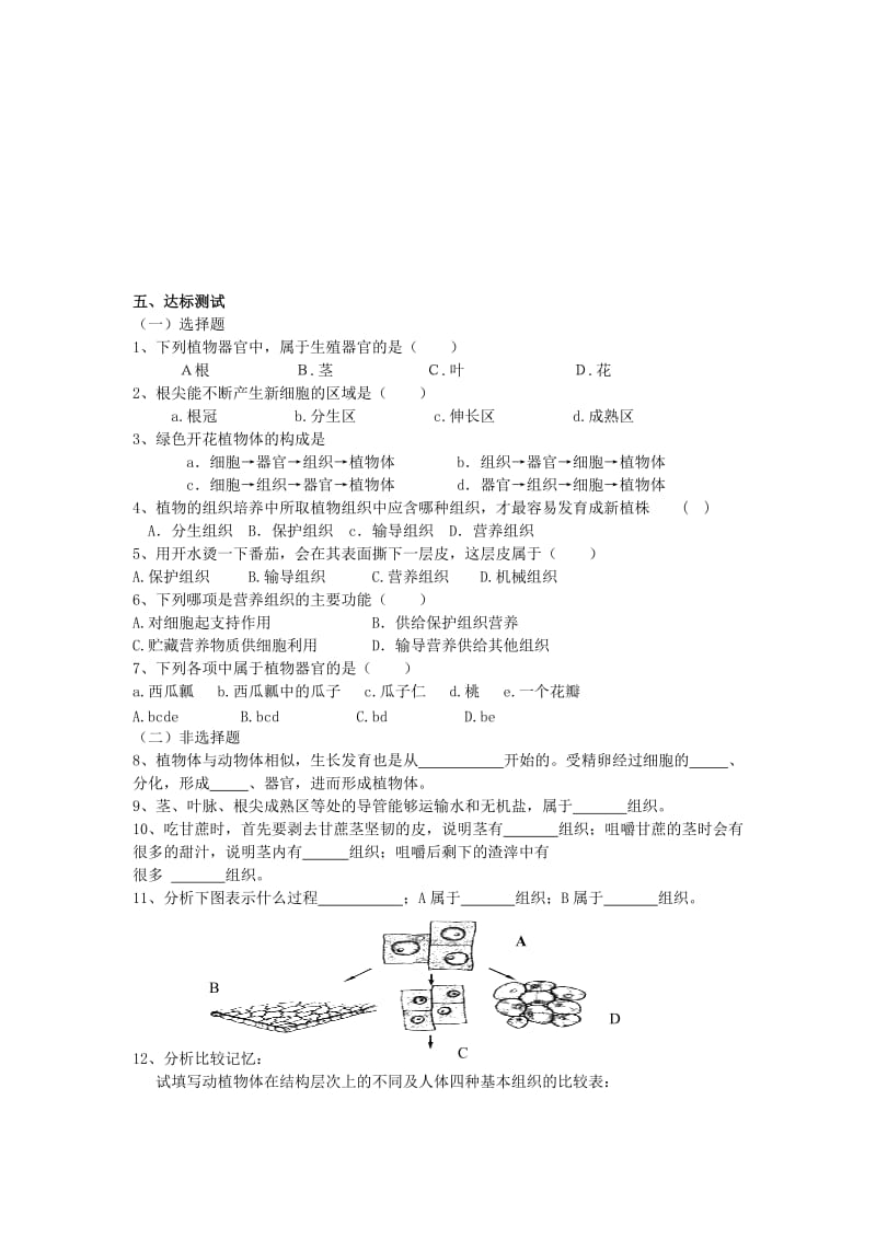 第二节植物体的结构层次肖鹏.doc_第2页