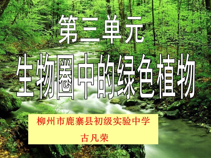 藻类_苔藓和蕨类植物.ppt_第1页