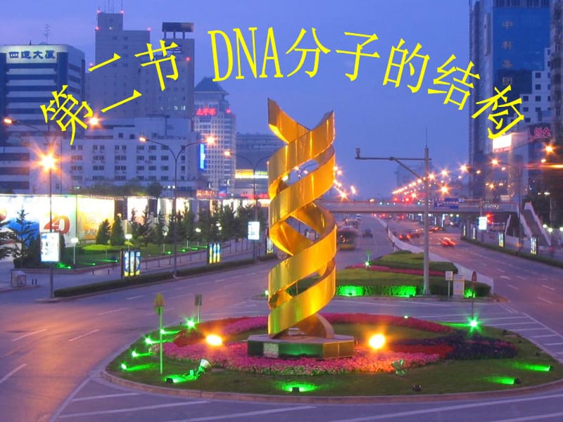 3.2《DNA分子的结构》课件10.ppt_第3页