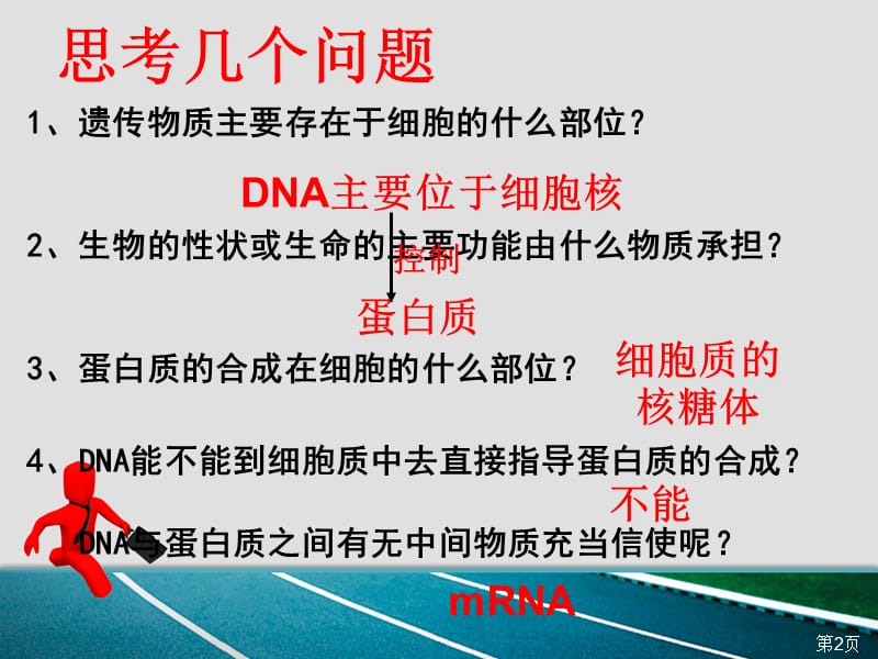 基因指导蛋白质的合成---课件.ppt_第2页