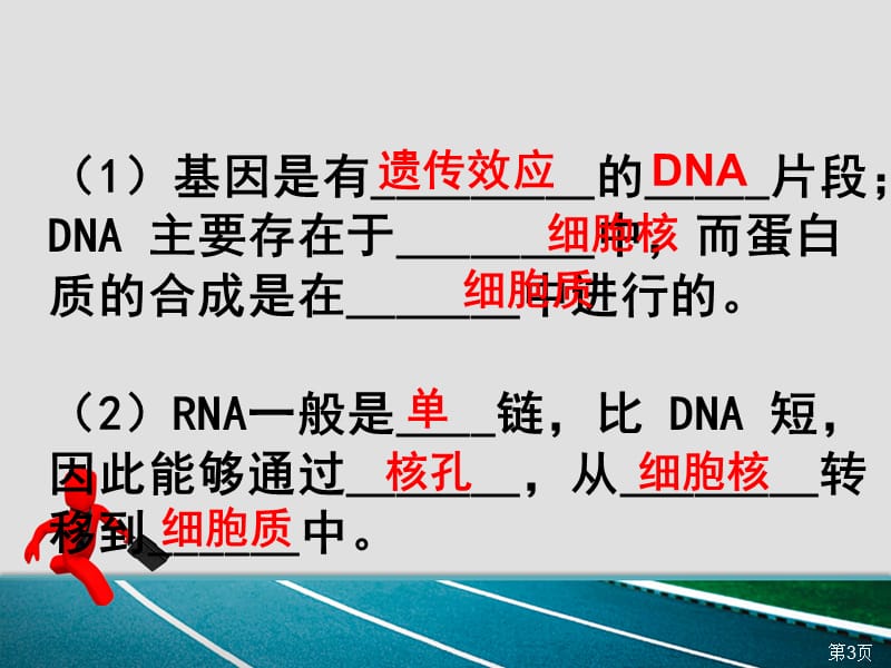 基因指导蛋白质的合成---课件.ppt_第3页