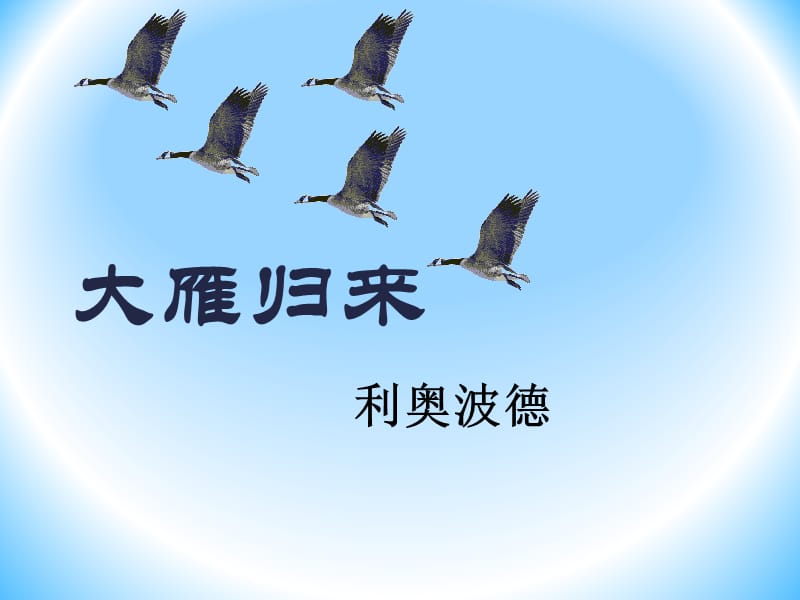 《大雁归来》.ppt_第3页