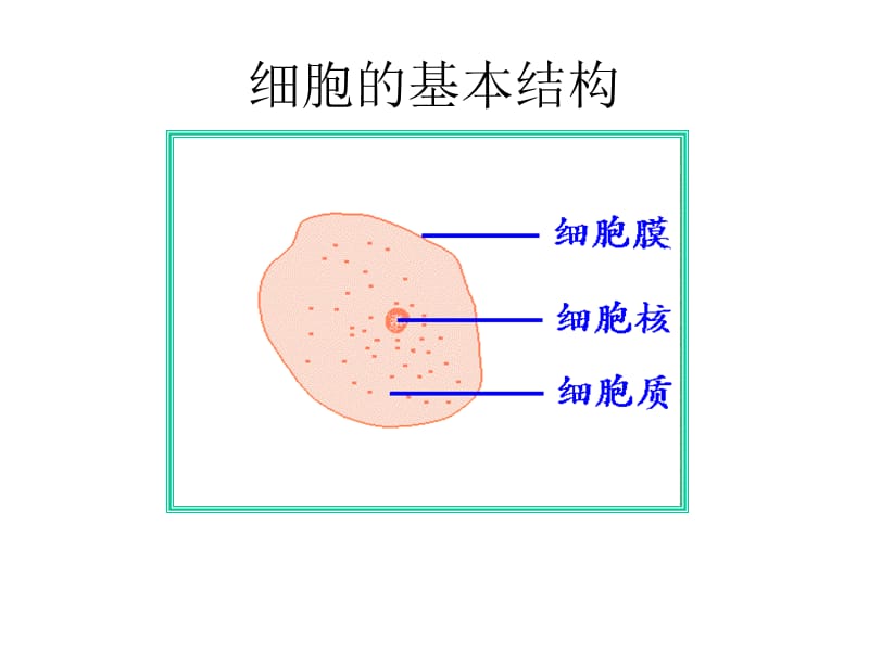 3.1细胞膜-系统边界课件李长永.ppt_第2页