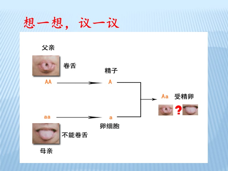 基因的显性与隐性.ppt_第3页