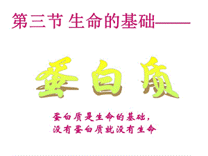 1.3《生命的基础——蛋白质》课件（新人教版选修1）.ppt