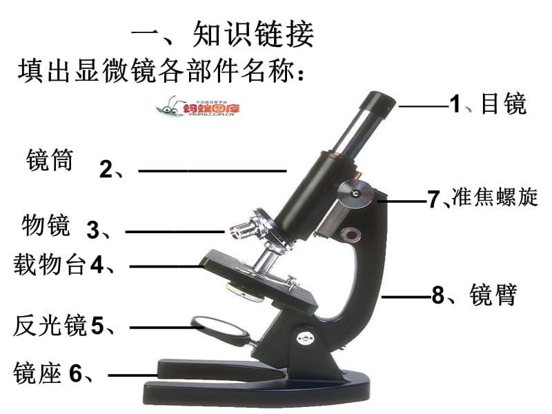 1、解开生物体结构的秘密.ppt_第3页