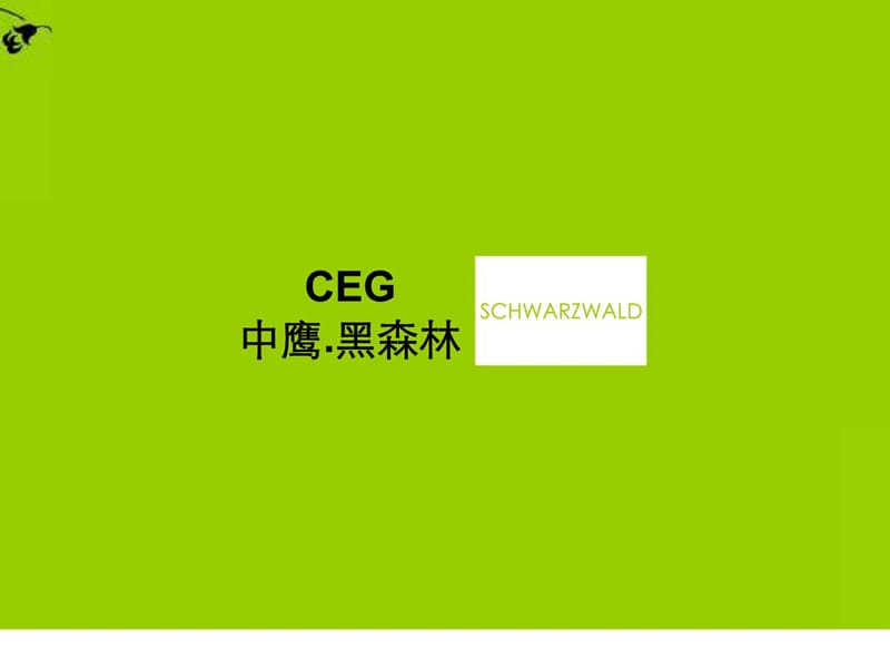 CEG中鹰.黑森林.ppt_第1页