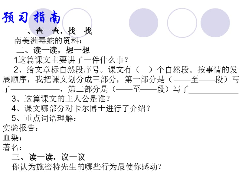 血染的实验报告.ppt_第3页