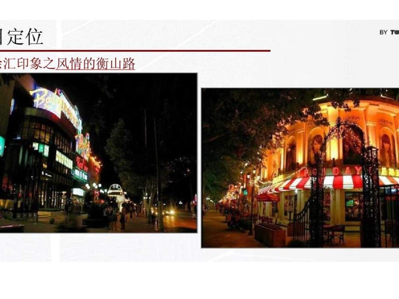 2010年上海漓江山水项目三期营销策划报告部分(2).ppt_第2页
