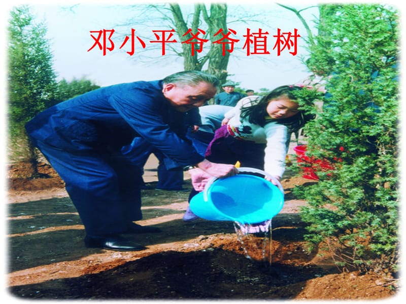 3邓小平爷爷植树（一下）.ppt_第2页