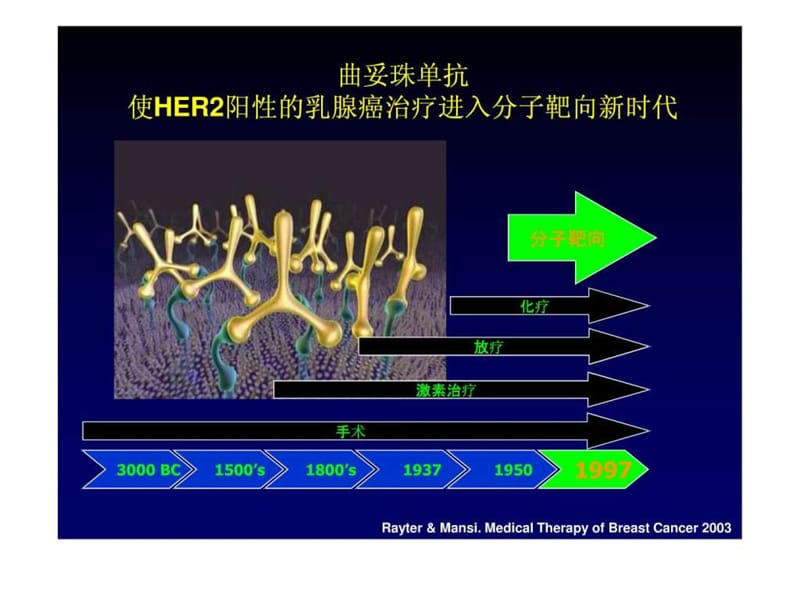 2010HER阳性乳腺癌赫塞汀指南.ppt_第2页