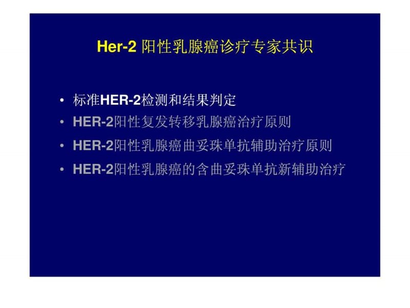 2010HER阳性乳腺癌赫塞汀指南.ppt_第3页