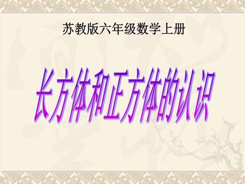 长方体正方体认识1.ppt_第1页