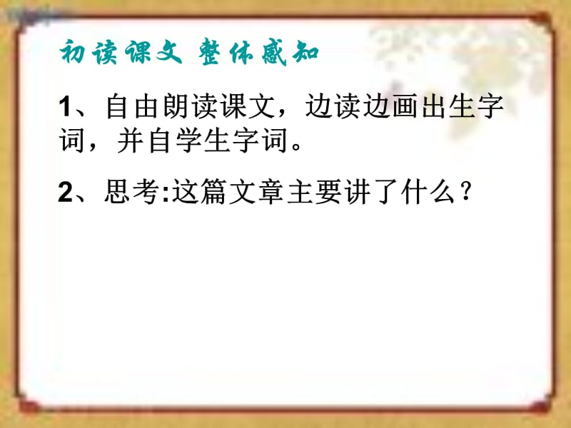 心田上的百合花课件.ppt_第3页