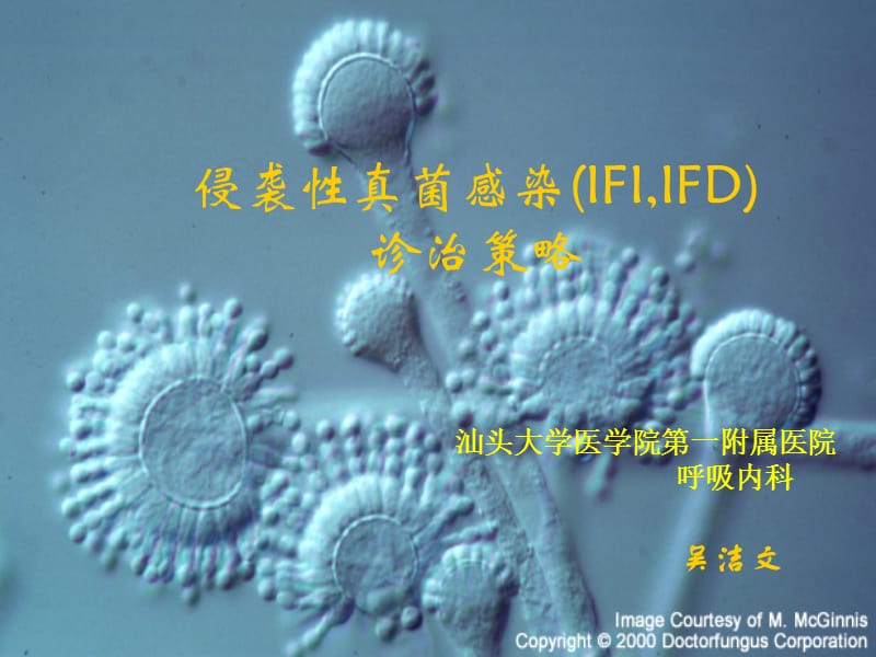 侵袭性真菌感染(ifi,ifd)的诊治策略.ppt_第1页