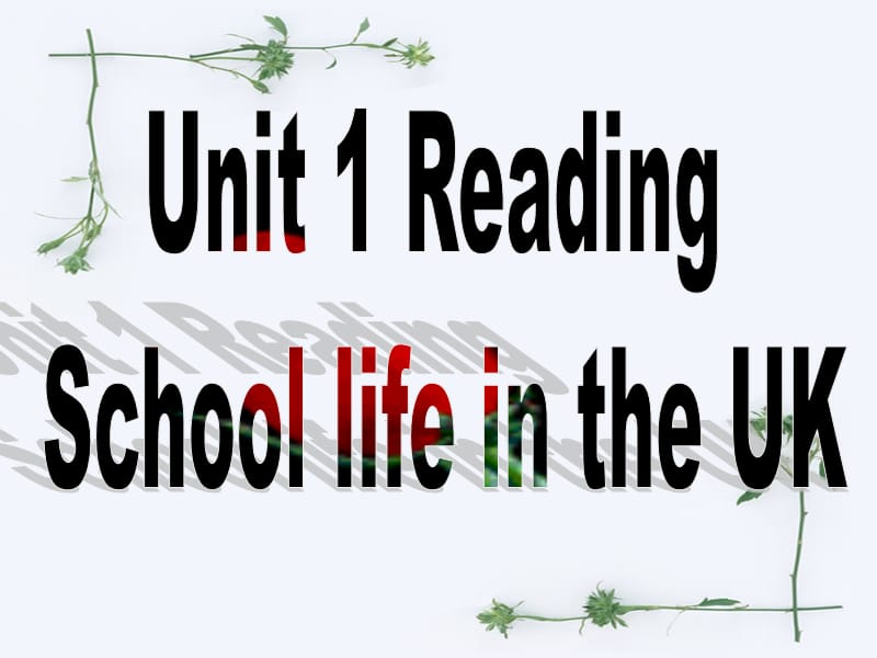 unit 1 reading.ppt_第1页