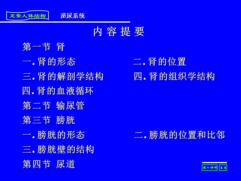 人体解剖与组织胚胎第八章《泌尿系统》.ppt_第2页