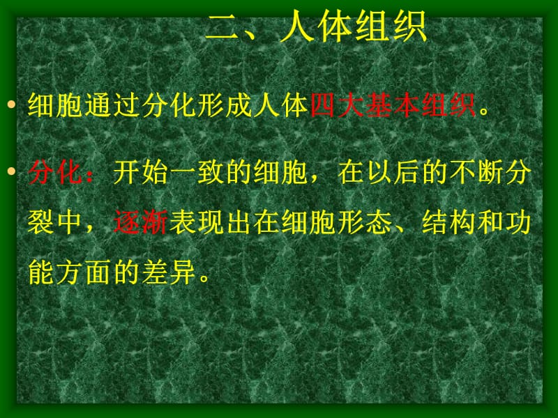 人体组织 PP课件.ppt_第2页