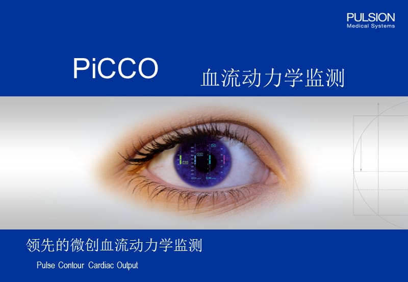 picco参数解读已看两遍,很好ppt课件.ppt_第1页