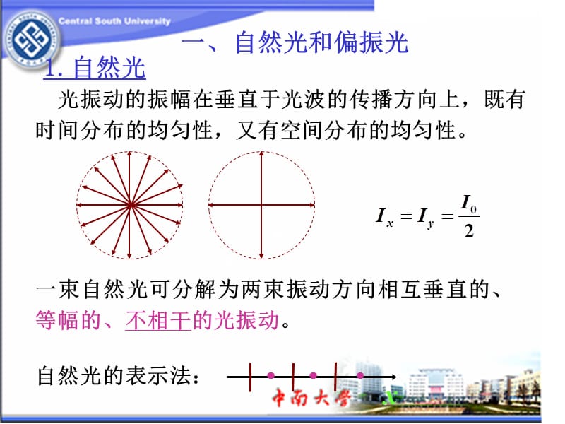 一自然光和偏振光ppt课件.ppt_第2页