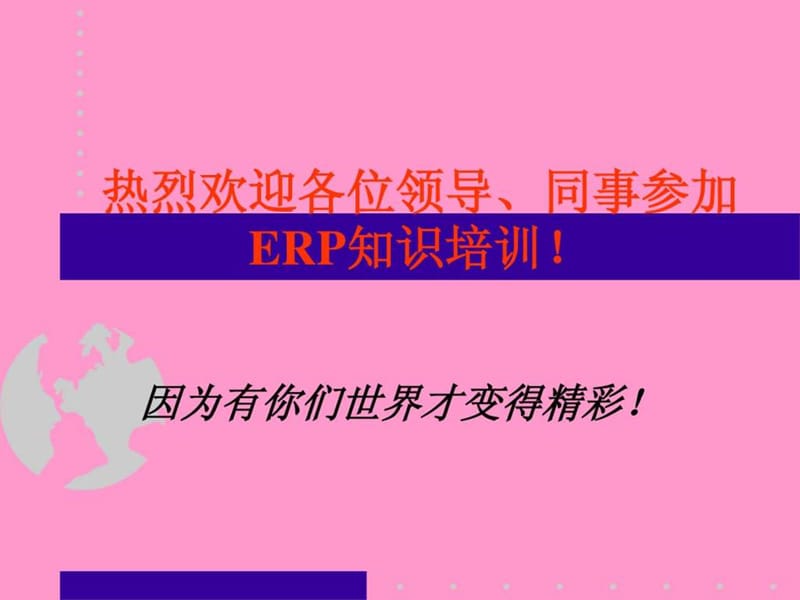 ERP演讲教程行业重要资料.ppt_第2页