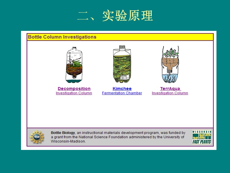 实验五生态瓶的制作.ppt_第2页