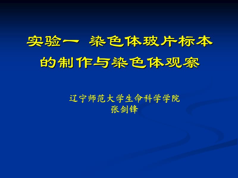 实验一染色体玻片标本的制作与染色体观察.ppt_第1页